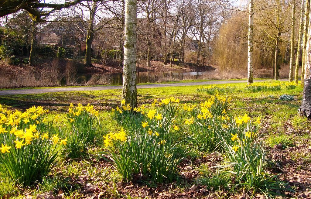 Vivere Ad Parcum - Bed And Breakfast Krefeld Bagian luar foto