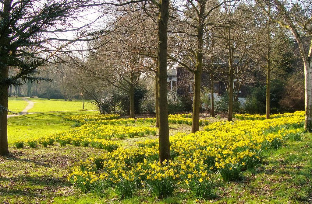 Vivere Ad Parcum - Bed And Breakfast Krefeld Bagian luar foto