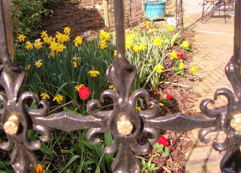 Vivere Ad Parcum - Bed And Breakfast Krefeld Bagian luar foto